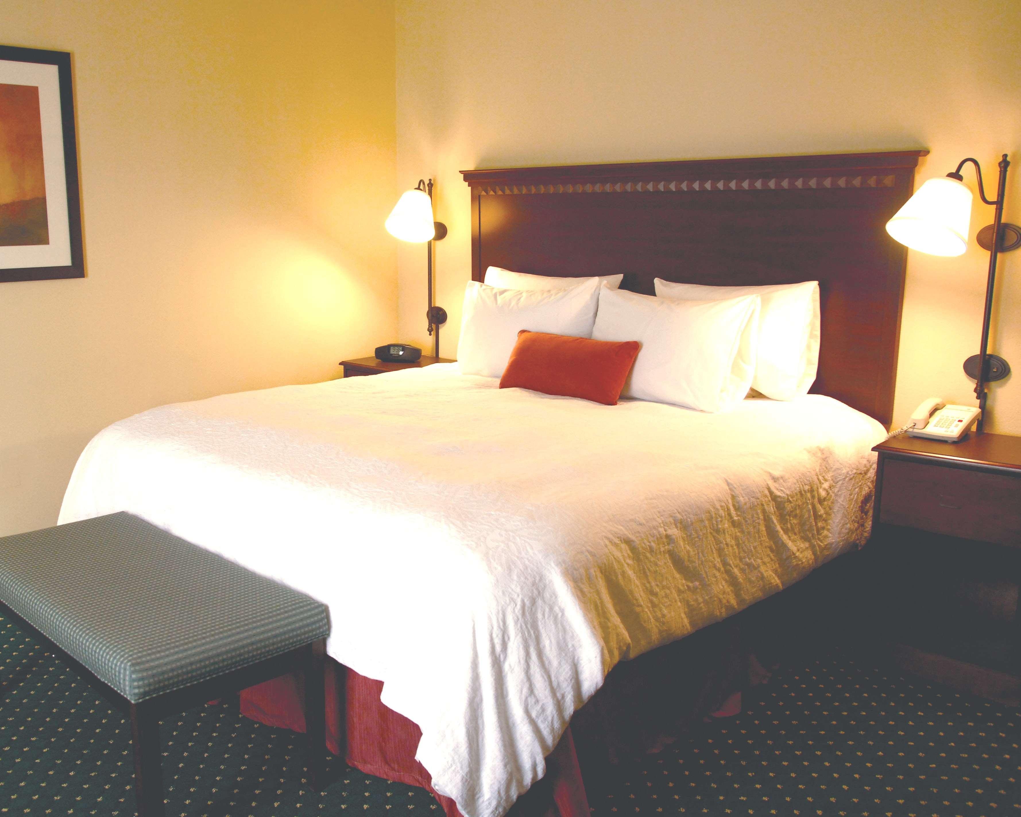 Hampton Inn Morehead Rum bild